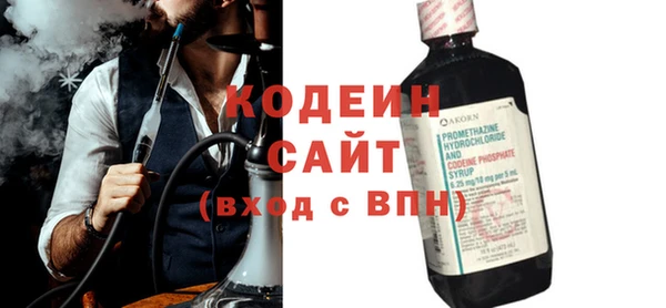 хмурый Карпинск