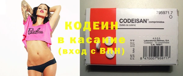 хмурый Карпинск