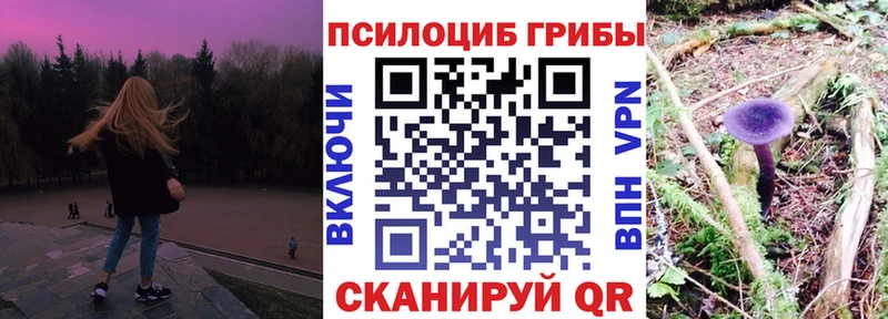 Купить  Бодайбо  Псилоцибиновые грибы прущие грибы 