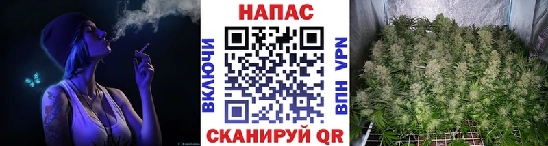 Купить где  Бодайбо  Канабис MAZAR 